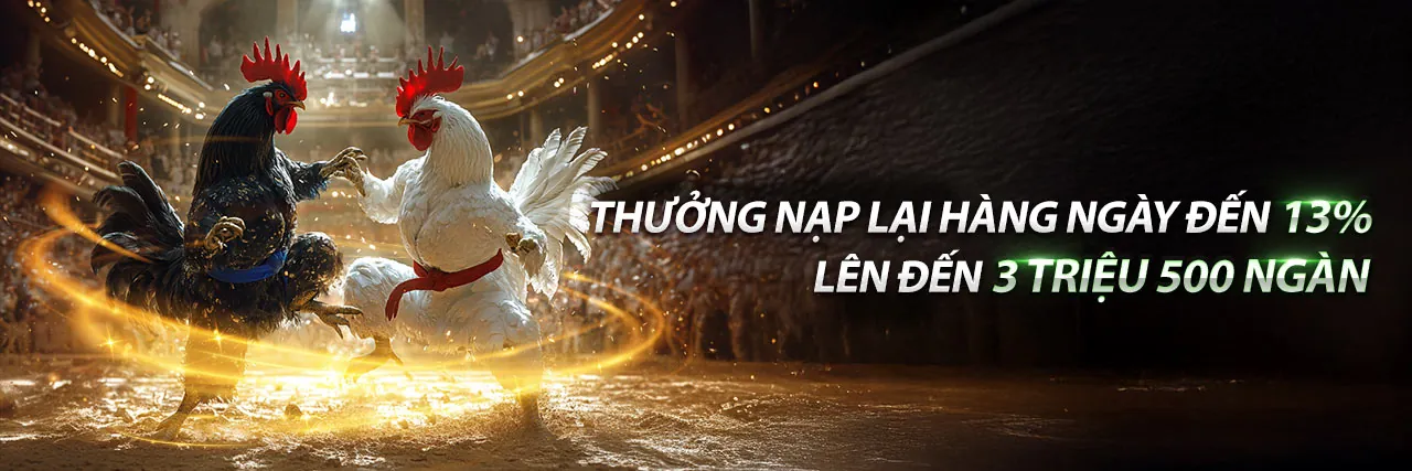 Hình ảnh hỗ trợ khách hàng betvision app