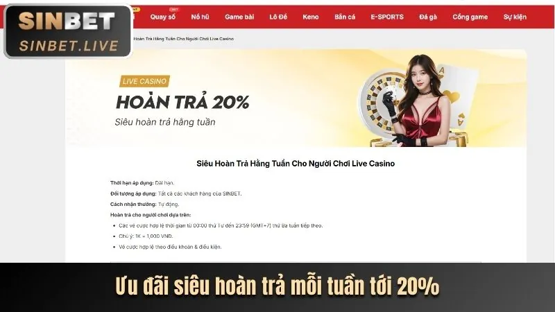 Quy trình xác minh tài khoản KYC của Betvision App